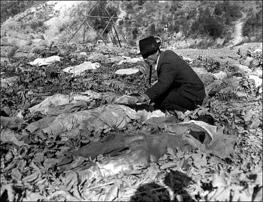 1950. 11. 13. 함흥 덕산광산, 482명을 생매장한 갱도에서 시신을 꺼내 늘어놓은 것을 한 아버지가 아들을 찾고 있다. 

"제발 내 아들이 아니기를..." 